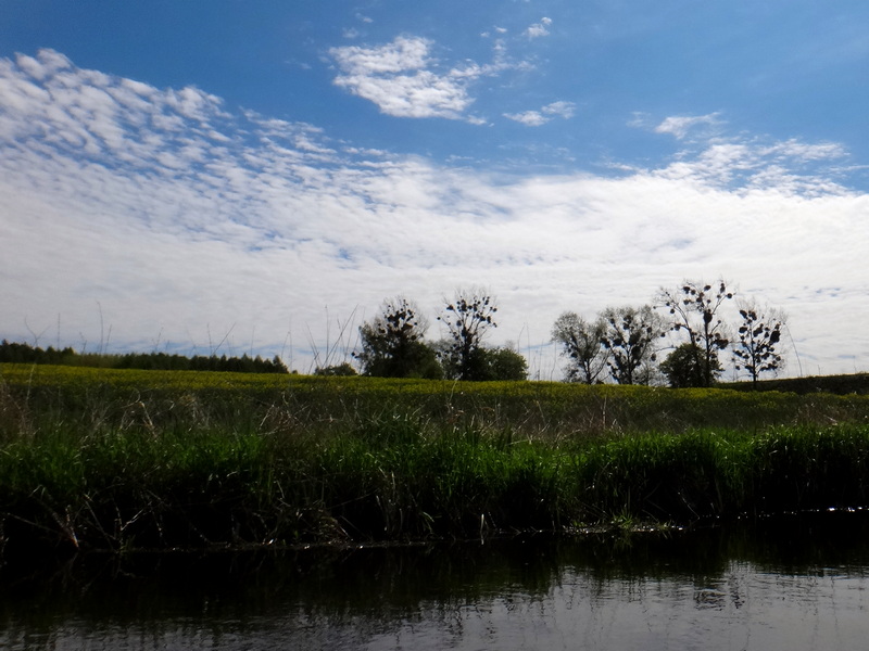 Sielskie krajobrazy podczas spływu kajakowego po Liwie.