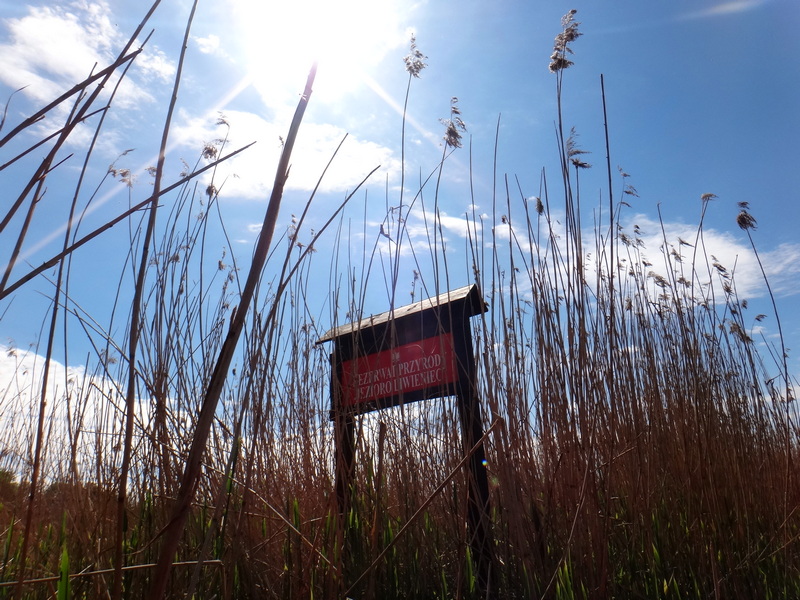 Rezerwat przyrody Liwieniec.