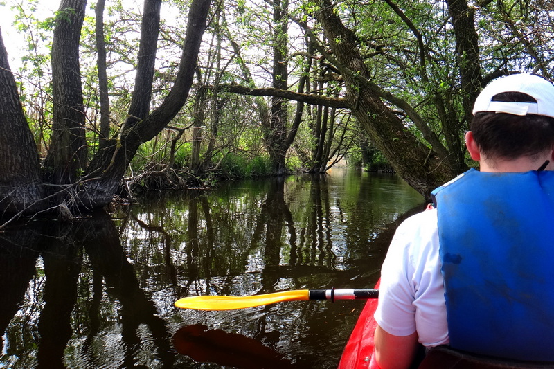 Spływ kajakowy po Liwie.
