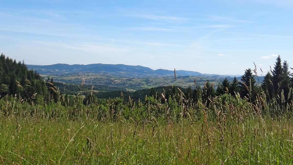 Widok na początku drogi na Mogielicę
