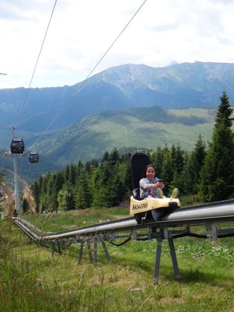 Tor bobslejowy przy ścieżce wśród koron drzew Bachledka.