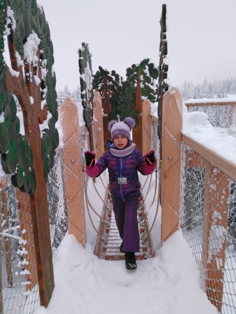 Adrenalinowy przystanek -Atrakcje dla dzieci na ścieżce wśród koron drzew