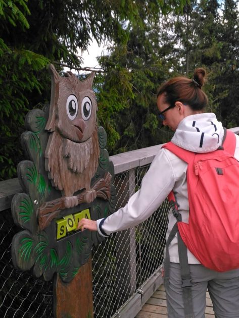 Układanka - Atrakcje dla dzieci na ścieżce wśród koron drzew