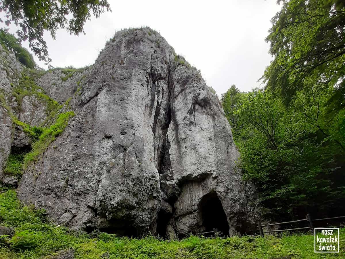 Jaskinia Wierzchowska - wejście.