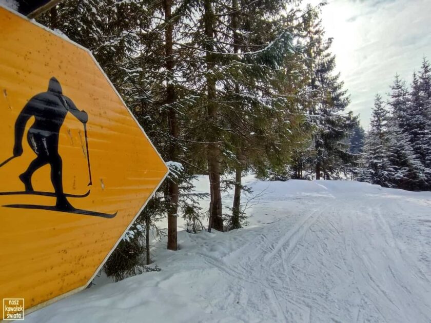 Trasa narciarstwa biegowego w Dolinie Lepietnicy